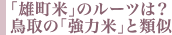 「雄町米」のルーツは？　鳥取の「強力米」と類似